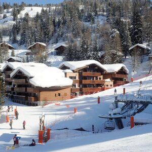 Résidence Les Chalets Edelweiss 45.5109 Frankrijk