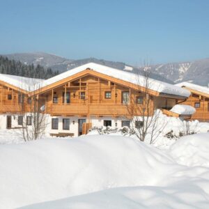 Alpenchalets Flachauer Gutshof 47.3505 Oostenrijk