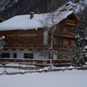 Pension Villa Cornelia - (Familiekamer/Logies) 46.9686 Oostenrijk