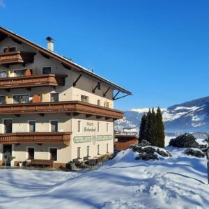 Hotel Garni Birkenhof 47.1706 Oostenrijk